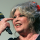 Illustration for article titled Brigitte Bardot Is Trying to Save 2 Million Feral Cats